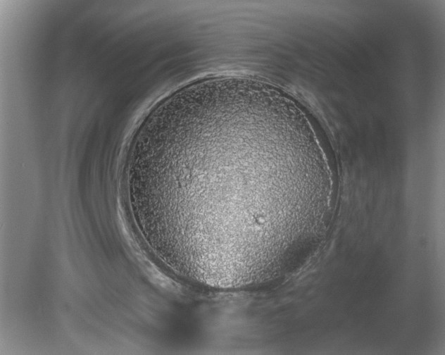 X0000081600145200701221145