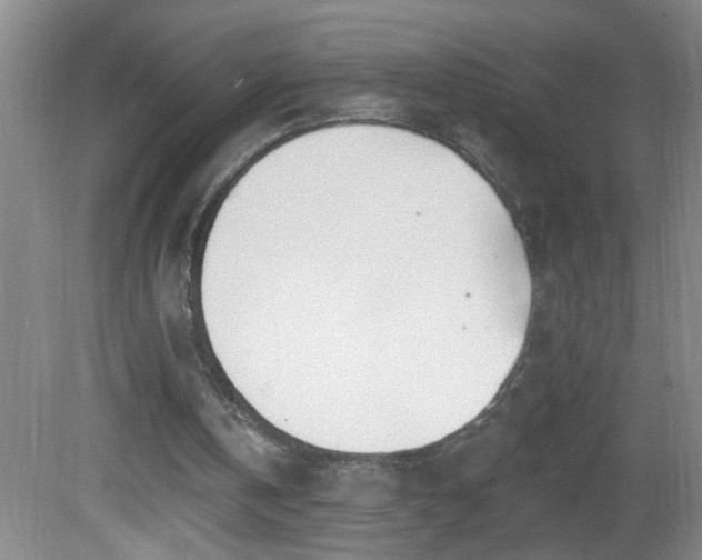 X0000081600146200701221145