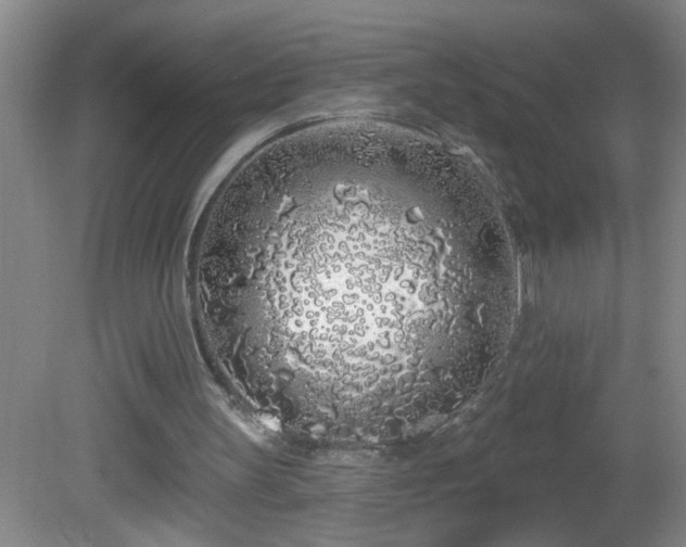 X0000081600147200701221145