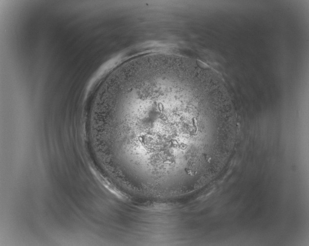 X0000081600149200701221145