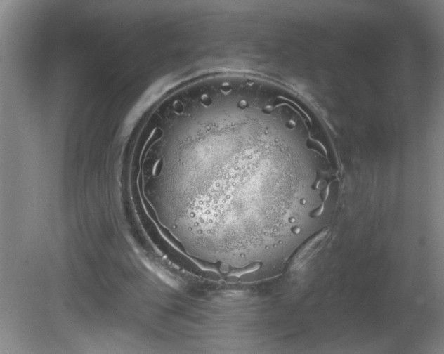 X0000081600151200701221145