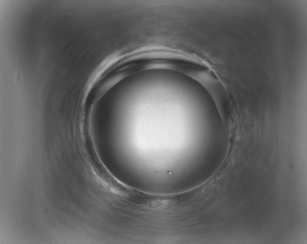 X0000081600152200701221145