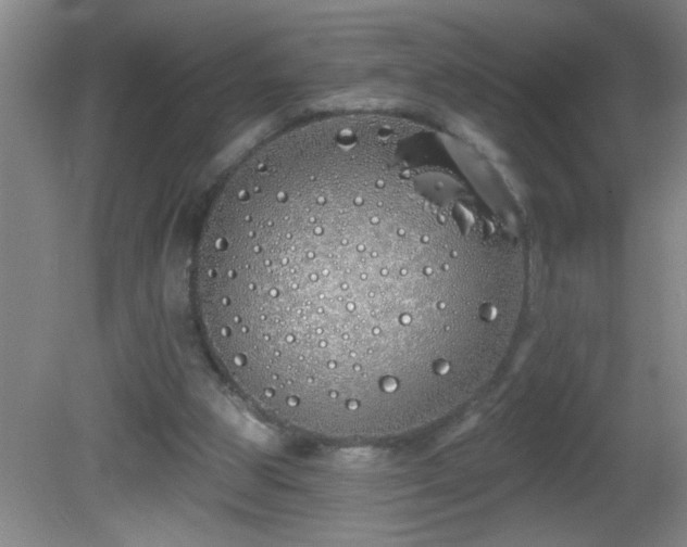 X0000081600153200701221145