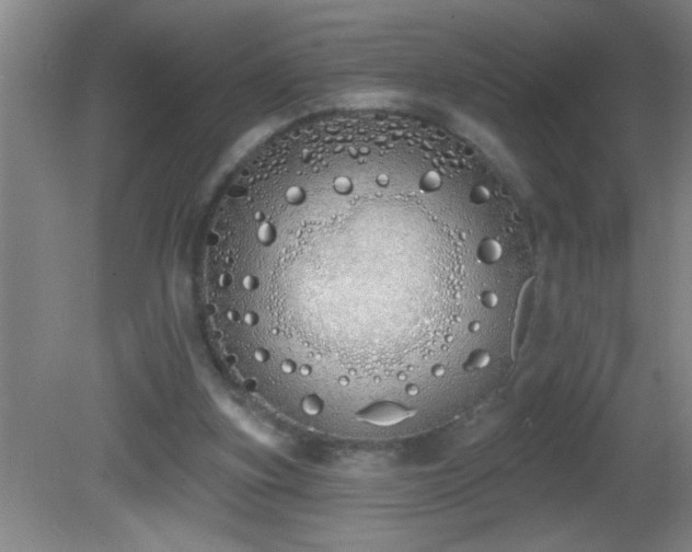 X0000081600155200701221145