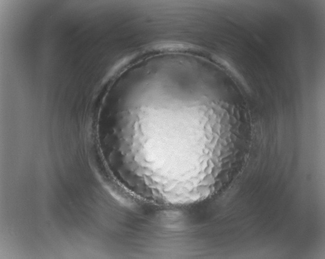 X0000081600159200701221145