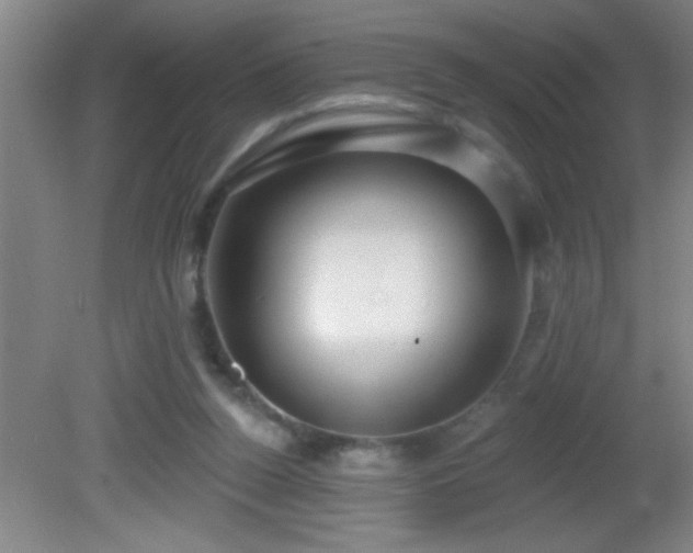 X0000081600160200701221145