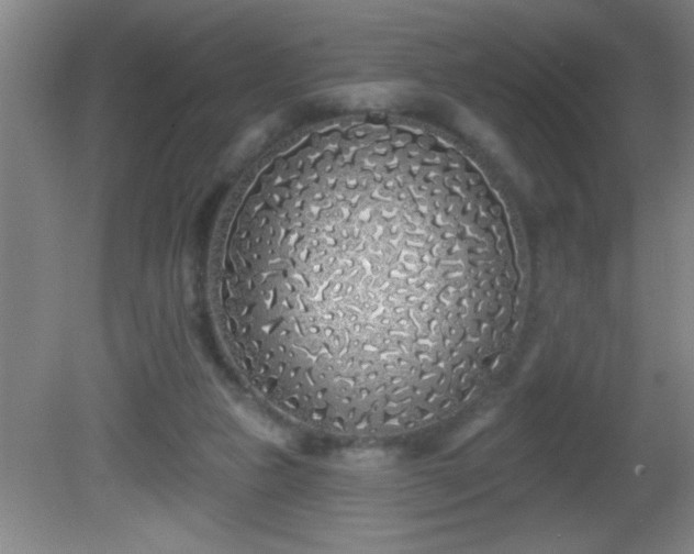 X0000081600161200701221145