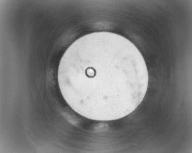 X0000081600162200701221145