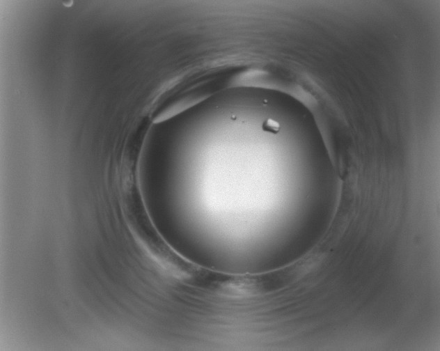 X0000081600164200701221145