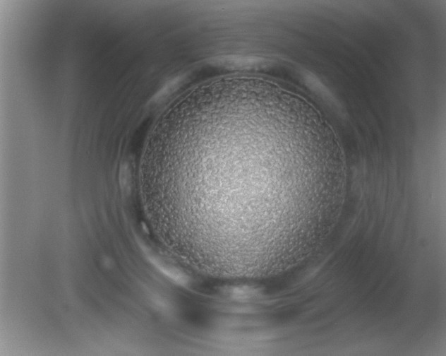 X0000081600165200701221145