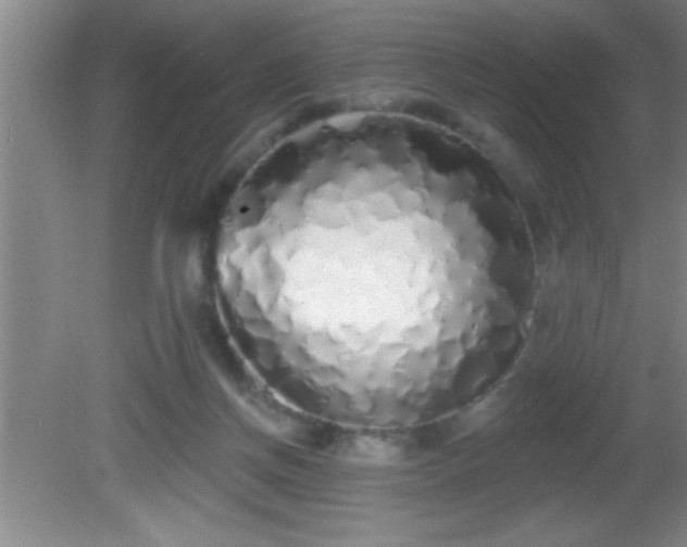 X0000081600166200701221145