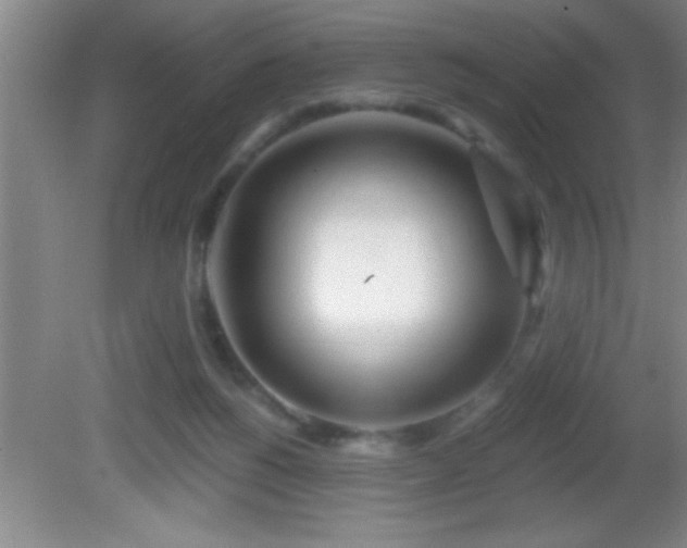 X0000081600168200701221145