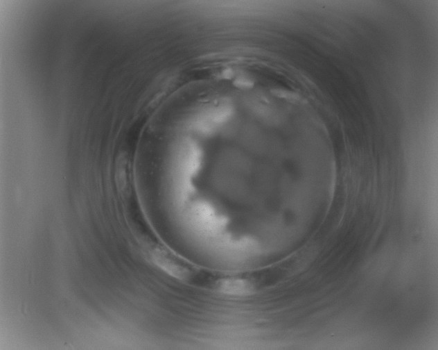 X0000081600169200701221146