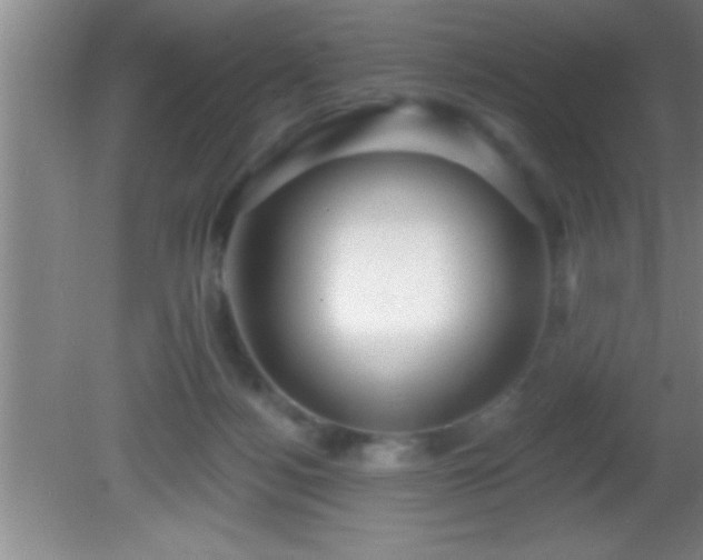 X0000081600172200701221146