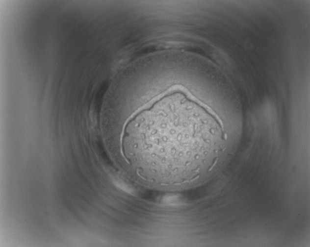 X0000081600173200701221146