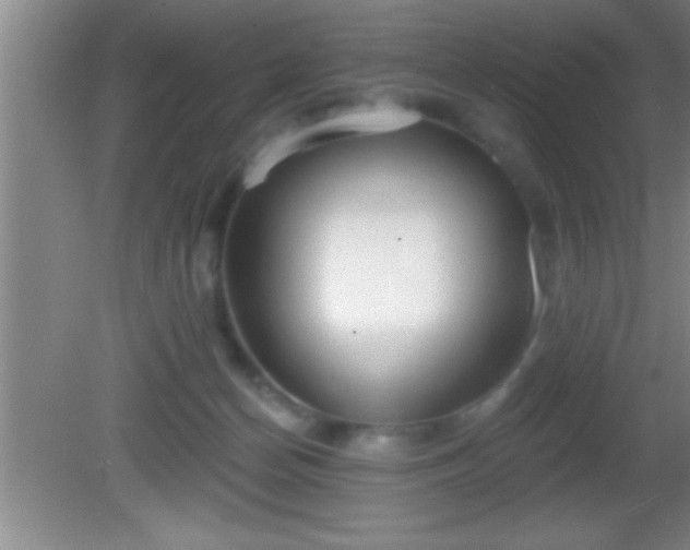 X0000081600174200701221146