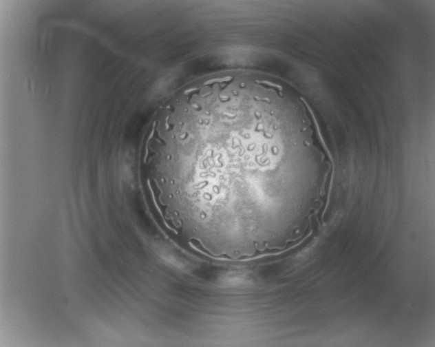 X0000081600175200701221146