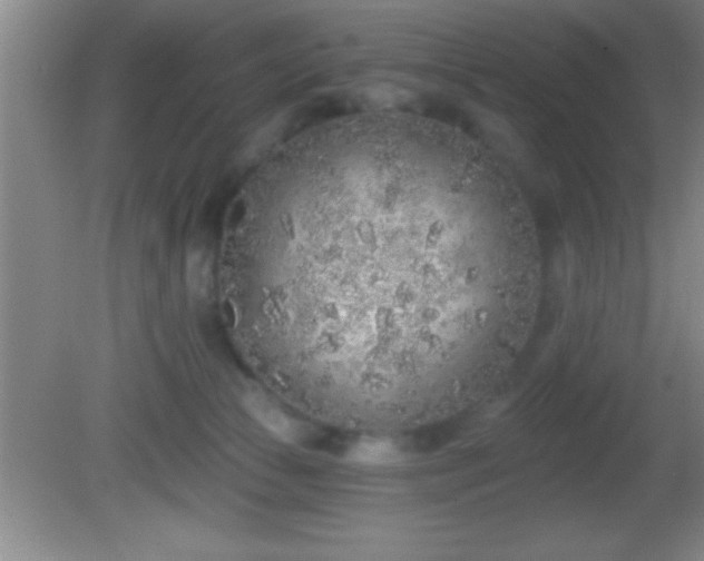 X0000081600177200701221146