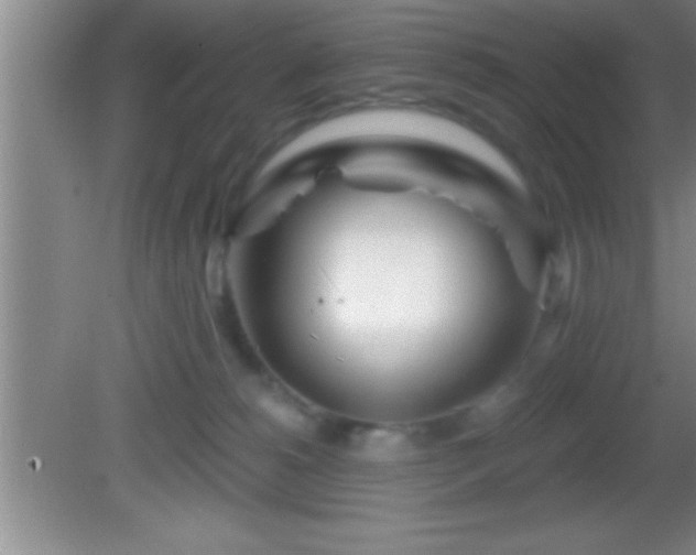 X0000081600180200701221146