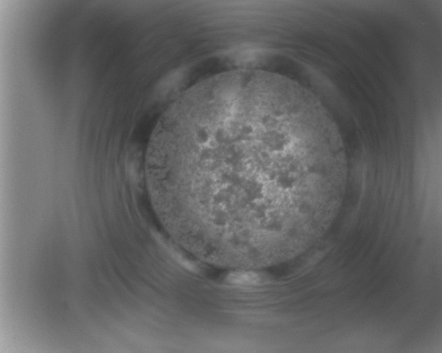 X0000081600181200701221146