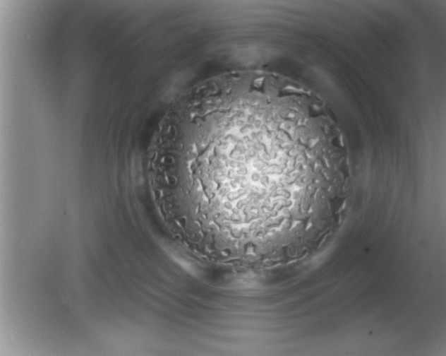 X0000081600182200701221146