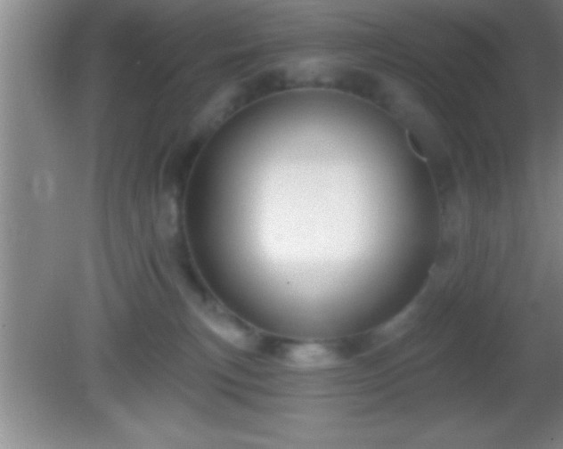 X0000081600183200701221146