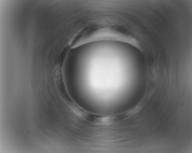 X0000081600184200701221146