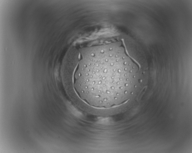 X0000081600185200701221146