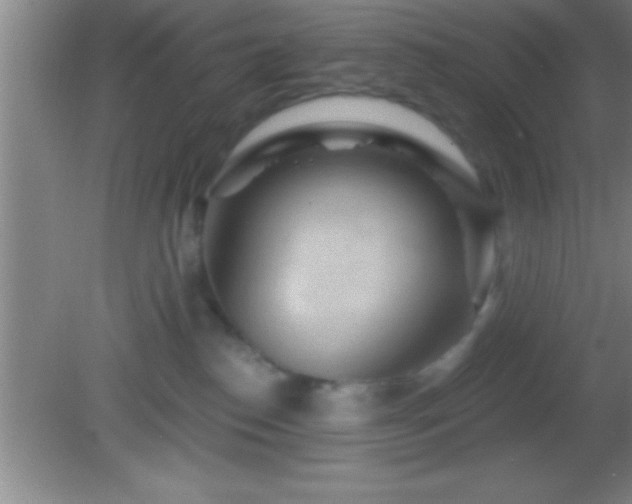 X0000081600186200701221146