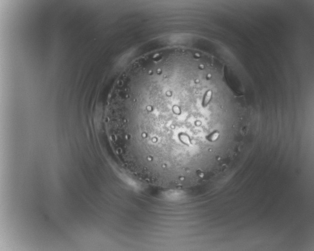 X0000081600189200701221146