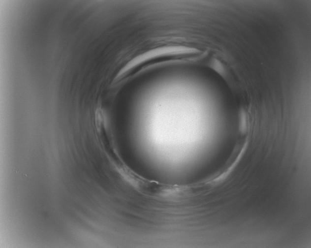 X0000081600190200701221146