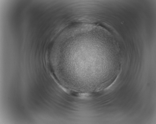 X0000081600192200701221146