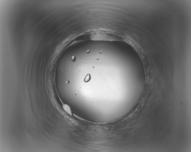 X0000081600193200701221145