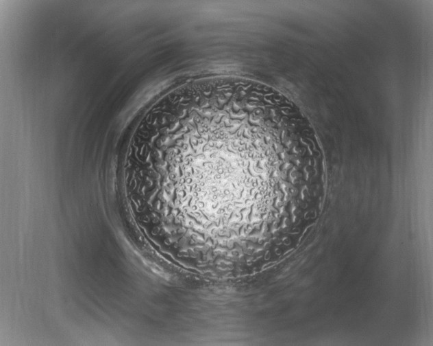 X0000081600194200701221145