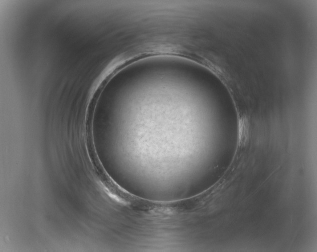 X0000081600195200701221145