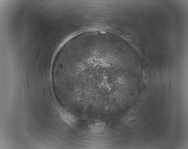 X0000081600196200701221145