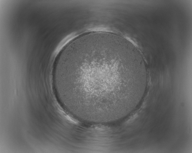 X0000081600199200701221145