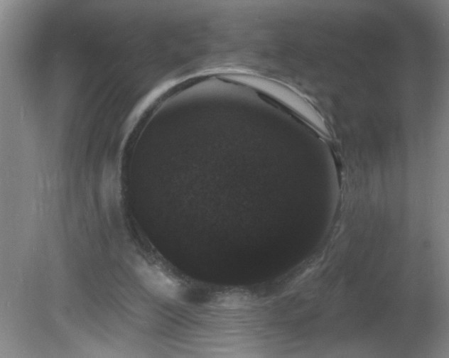 X0000081600200200701221145