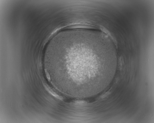 X0000081600203200701221145