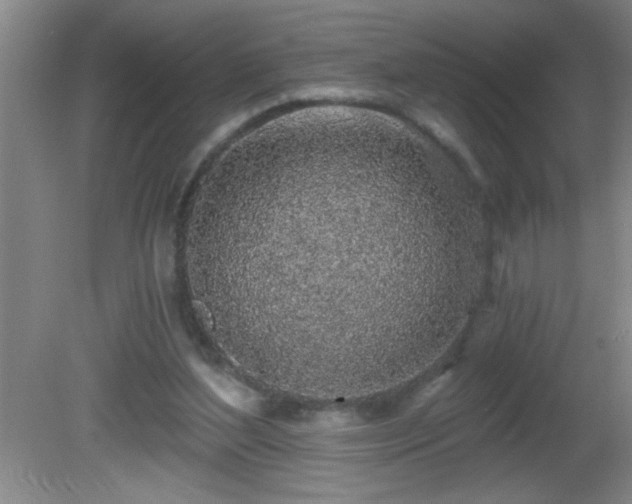 X0000081600204200701221145