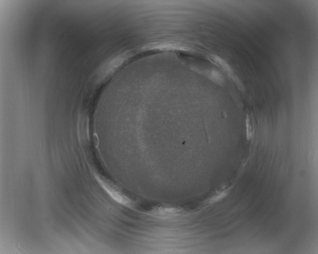 X0000081600205200701221145