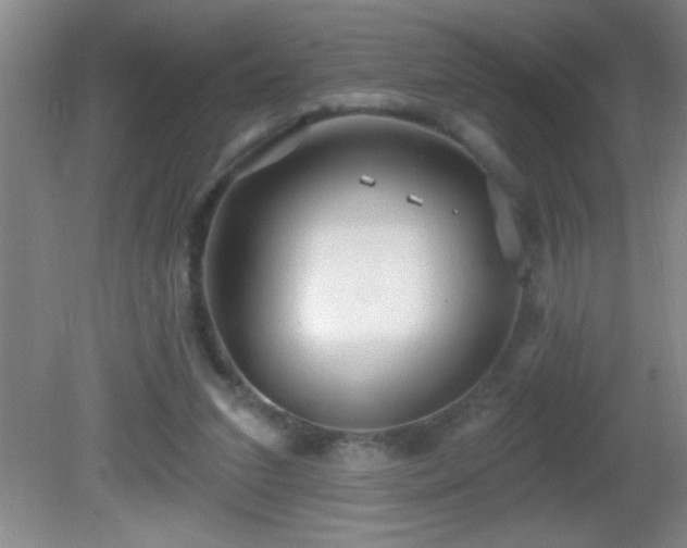 X0000081600207200701221145