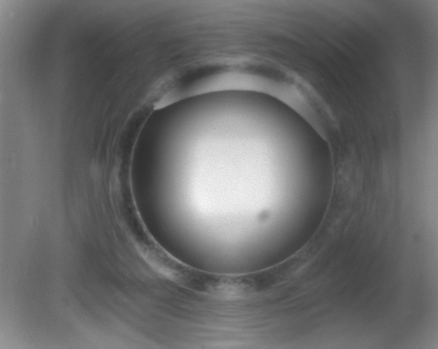 X0000081600209200701221145