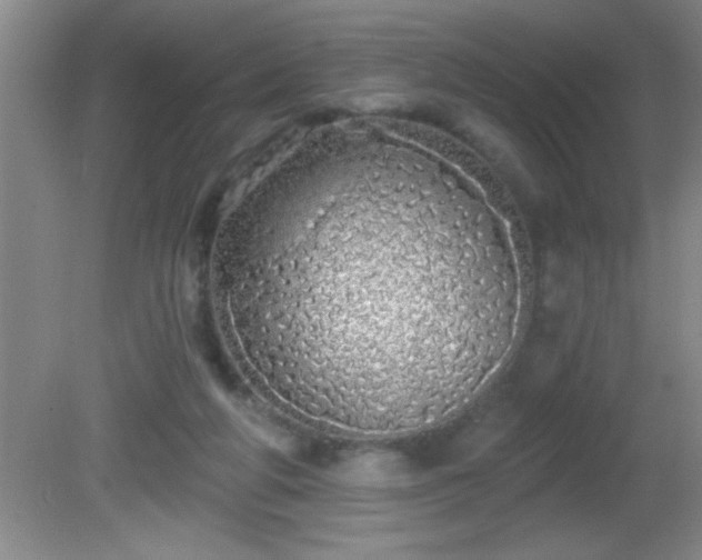 X0000081600210200701221145