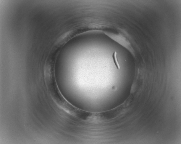 X0000081600211200701221145