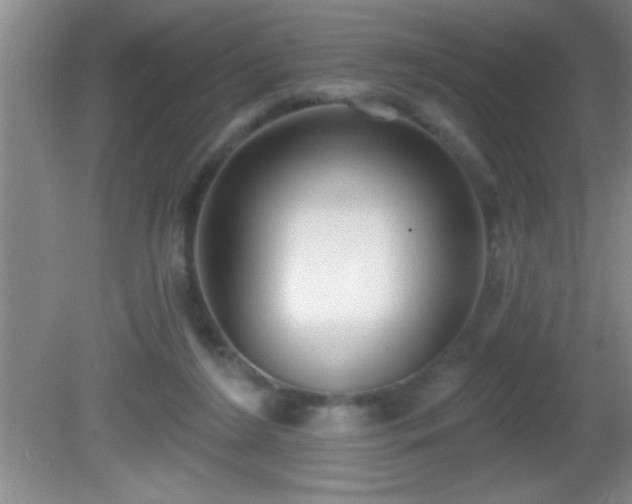 X0000081600212200701221145