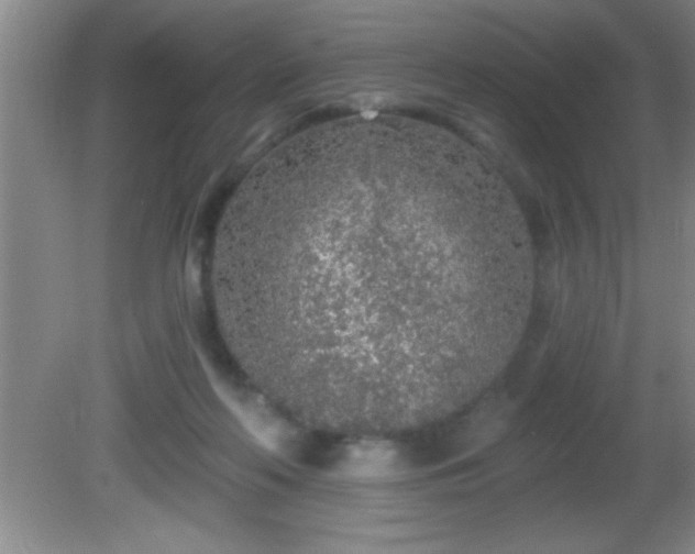 X0000081600214200701221145