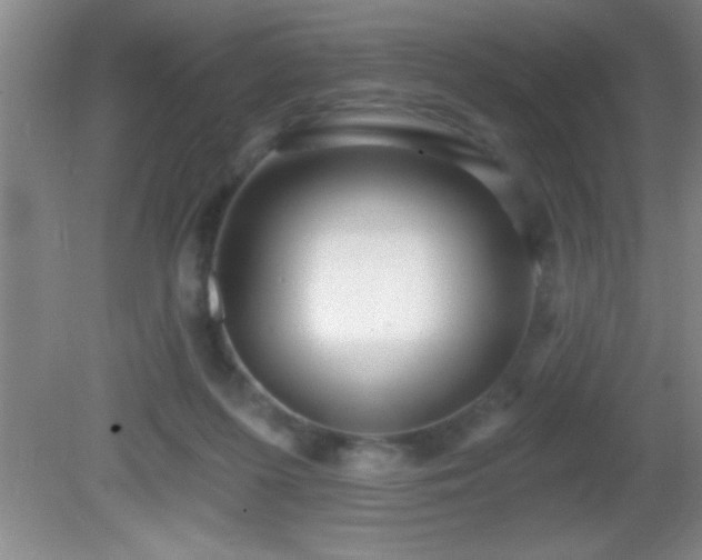 X0000081600215200701221145