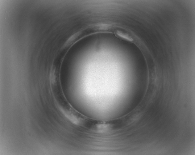 X0000081600216200701221145