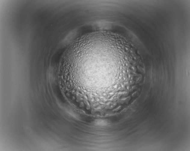 X0000081600218200701221145